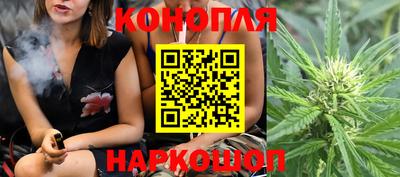 гидра Партизанск