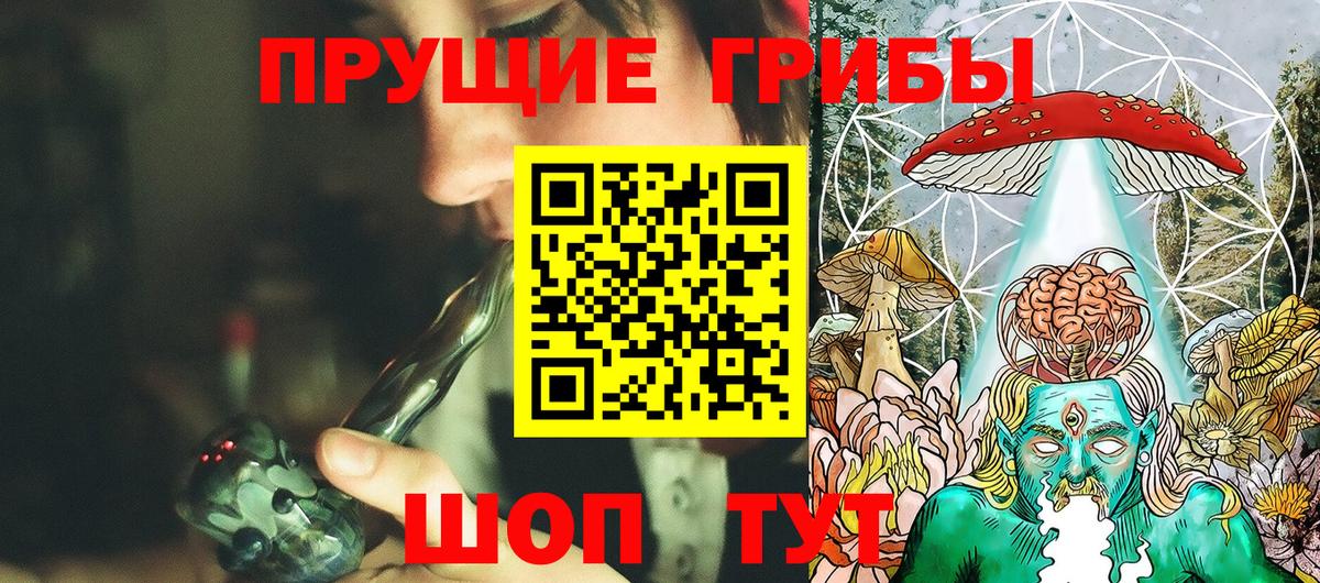 Сухой Лог  Псилоцибиновые грибы GOLDEN TEACHER  Галлюциногенные грибы Magic Shrooms  где купить наркоту  Вход с VPN 